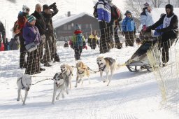 Lenk 2012 SM